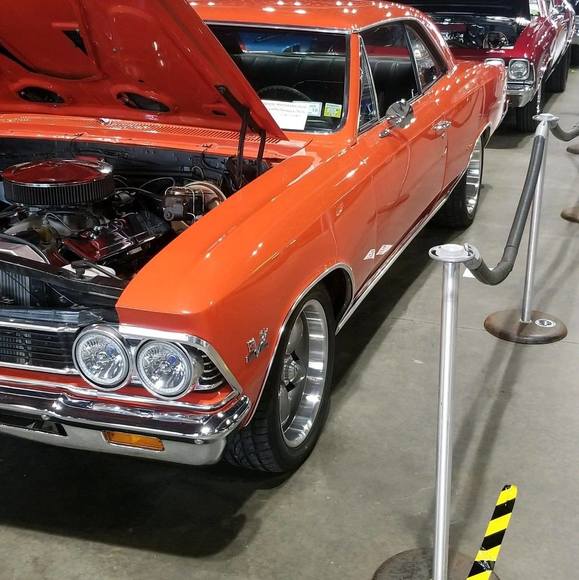 Meet your Posher, Loretta - Picture 1 of 1